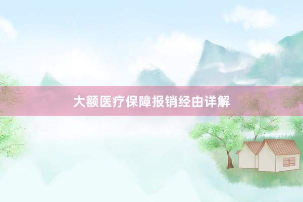 大额医疗保障报销经由详解